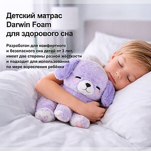 ������ Darwin Foam Kids ��������