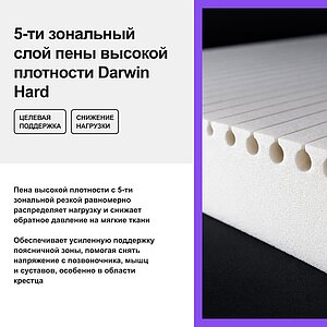 ������ darwin Life Foam � ������������� ������ � � ������