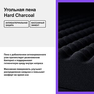 ������ darwin Life Spring � �������������� ����������� � ������� ������