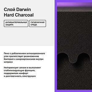 ������ darwin Orto Foam � [160 x 200 ��] � ������������ ��� ������ ������������: 130 ��.
