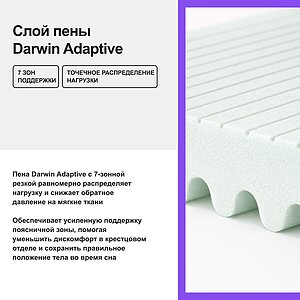 ������ darwin Orto Foam � ���� 37900 �. � ������������� ������