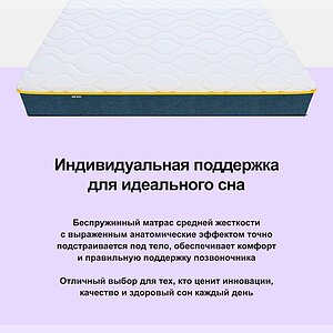 ������ Darwin Zone Foam ��������