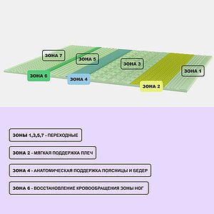 ������ darwin Zone Spring � ������������� ������ � � ������