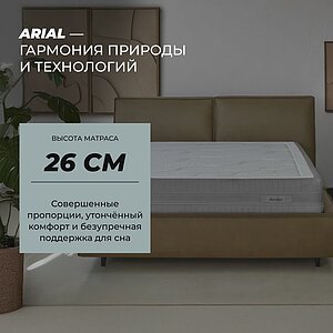 ������ Dorelan Arial � ������-������� ������ � ������ �������: 26 ��.