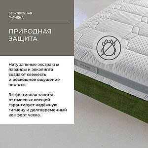 ������ Dorelan Evoke � ���� 238580 �. � �������� 5 ���
