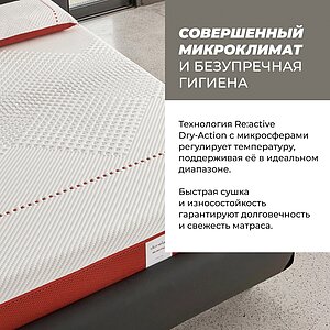 ������ Dorelan ReActive � ������������� ������ � ������� ����