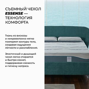 ������ Dorelan ReGeneration � ���� 229100 �. � �������� 5 ���