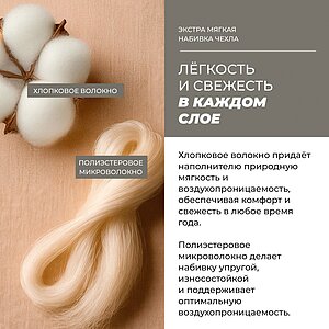 ������ Dorelan Regal � �������������� ����������� � �������� 5 ���