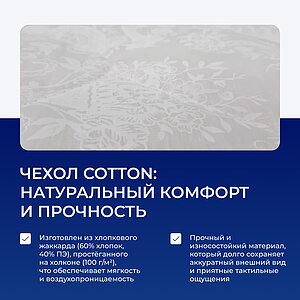 ������ DreamLine Rest 2 � ������ �������: 2 ��. � �������� 1,5 ����