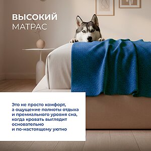������ Dreamline �������� ����� � ���� 114999 �. � �������������� �����������