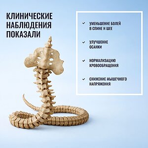 ������ Honnemed Health L � ���� �� ������ ������� ����� � ��������� �������, ������������ ���: 150 ��.