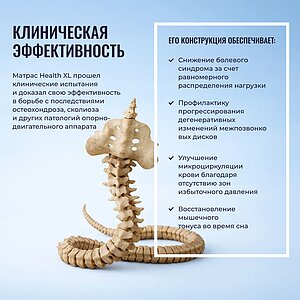 ������ Honnemed Health XL � ������� ����� � ������ �������: 20 ��.