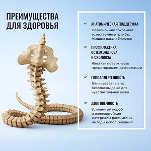 ������ Honnemed Leben � ���� 47572 �. � �������� 3 ����