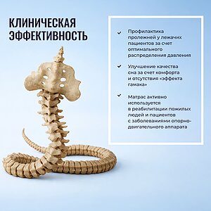 ������ Honnemed Leben L � ������� ����� � �������� 3 ����