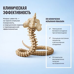 ������ Honnemed Leben XL � ˸� � ��������� �������, ������������ ���: 160 ��.