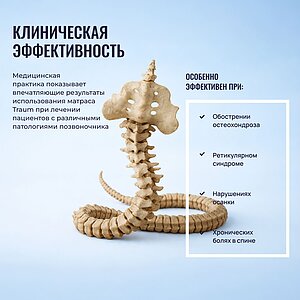 ������ Honnemed Traum � ˸� � �������� 3 ����