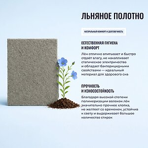 ������ Honnemed Traum � [110 x 150 ��] � ��������� �������, ������������ ���: 140 ��.