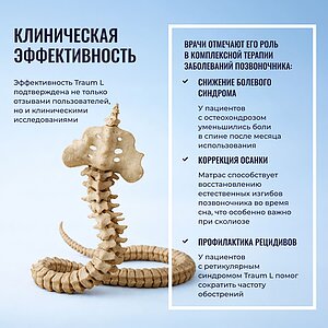 ������ Honnemed Traum L � ������ �������: 20 ��. � 2 ������