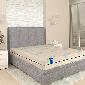 ������ Honnemed Traum XL � ���� �� ������ ������� ����� � ������� ������