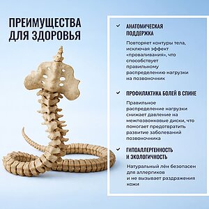 ������ Honnemed Traum XL � ������� ����� � ����������� ��������� ����, 390 ������/�&sup2;, 9 ��� ���������