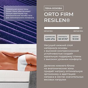 ������ Kamasana Albir � ��������� �����������, ������������ ���: 160 ��. � �������� 2 ����