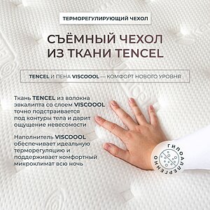 ������ Kamasana Altea � �������������� ����������� � � ������