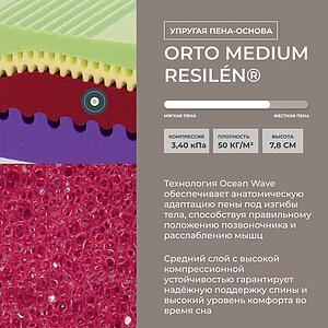 ������ Kamasana Diamant � ������ � �������� ������ � ������� � �������