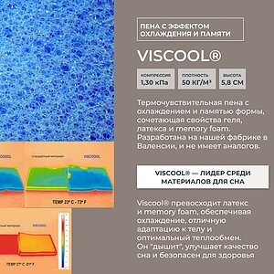 ������ Kamasana Viscool � � ������ � ��������� �����������, ������������ ���: 160 ��.