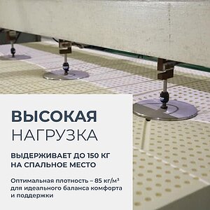 ������ Lien'a 10 �� � ������� ����� � ��������� �����������, ������������ ���: 150 ��.