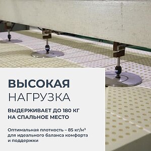 ������ Lien'a 15 �� � ��� ������ � ��������� �����������, ������������ ���: 180 ��.