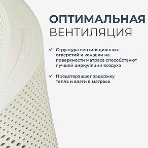 ������ Lien'a 7 ��� 15 �� � [65 x 200 ��] � � ������