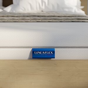 ������ Lineaflex Bruno � ����������� ��������� ����� � ������ �������: ������-������� � ������