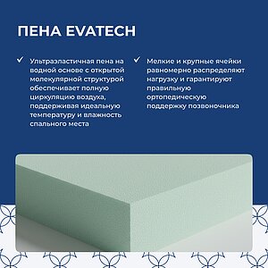 ������ Lineaflex Kristal � ���� 164354 �. � �������������� �����������