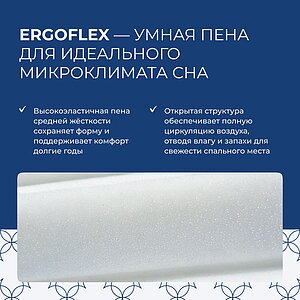 ������ Lineaflex Primula Lux � ����������� ��������� ����� � �������� 2 ����