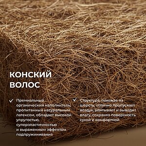 ������ Lineaflex Qween � ���� 122543 �. � ������-������� ������