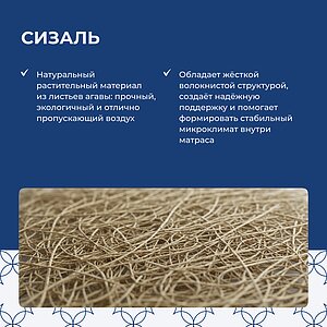 ������ Lineaflex Real Active � [65 x 95 ��] � ������-������� ������