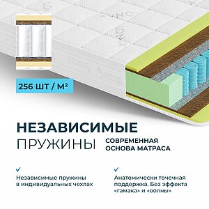  Lonax-Spim.Ru Desco TFK 