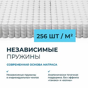 ������ Lonax Reef TFK � ������������ ��� ������ ������������: 120 ��. � 32 �������