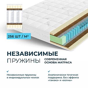  Lonax-Spim.Ru Vena TFK 