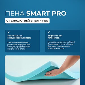 ������ Seria Pro Emily � ˸� � �������� 1,5 ����