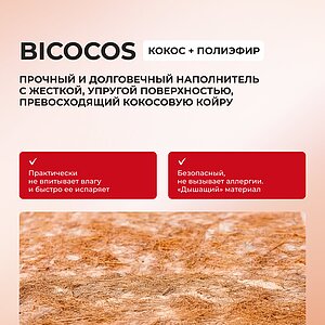 ������ S.O.U.L. Fines � ������ �������: ������-������ � ������-������� � ������ �������: 24 ��.