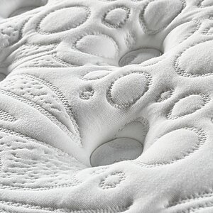 ������ Olimpia Bushe � ������-������� ������ � ������ �������: 22 ��.