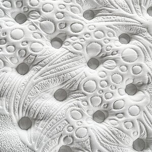 ������ Olimpia Bushe � � ������ � ��������� �����������, ������������ ���: 160 ��.