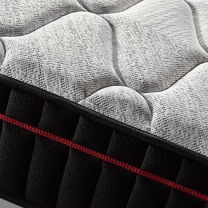 ������ Olimpia Midnight � ������������� ������ � �������� 1,5 ����