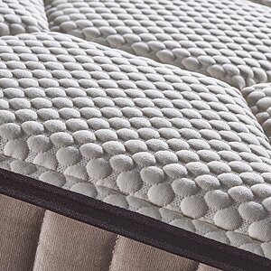 ������� Olimpia Supreme