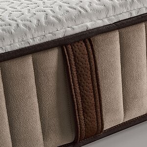 ������ Olimpia Vienna ��������