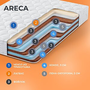   Areca