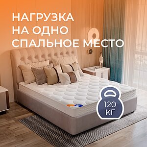 ������ ������� Elastic EVS500 � ���� 17520 �. � ������ �������: 21 ��.