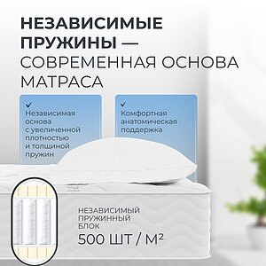 ������ ������� Elastic S1000 � ���� 20840 �. � 29 ��������