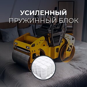 ������ ������� Elastic S1000 � ����������� ��������� ����, 500 ������/�&sup2; � �������� 1,5 ����